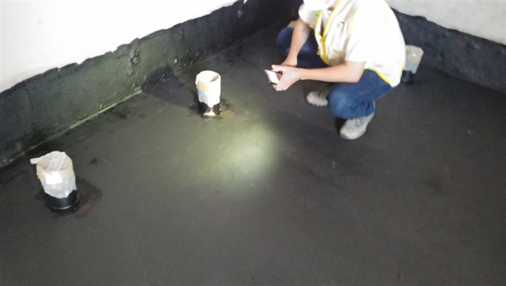 Bituthene Liquid Membrane